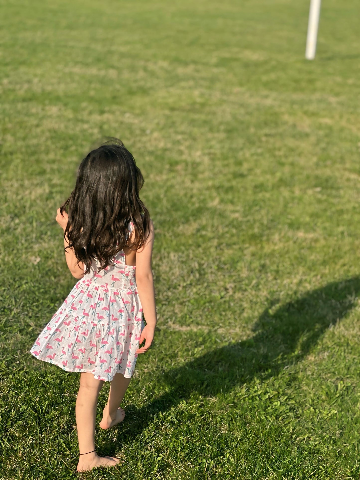 Flamigo Hand Block Print Cotton Dress